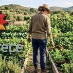 fue-una-de-las-periodistas-mas-famosas-de-el-trece,-se-alejo-de-los-medios-y-ahora-tiene-una-huerta