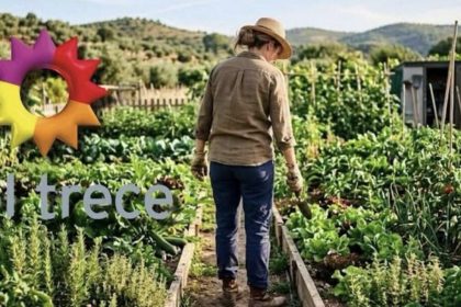 fue-una-de-las-periodistas-mas-famosas-de-el-trece,-se-alejo-de-los-medios-y-ahora-tiene-una-huerta