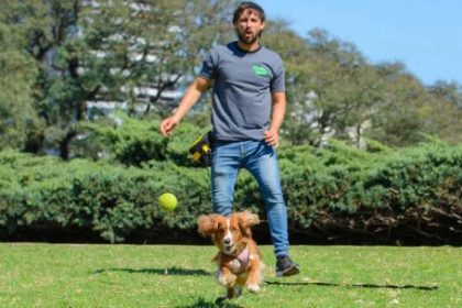distinguen-a-escuela-de-educacion-canina-por-su-labor-por-el-bienestar-de-las-mascotas-de-compania