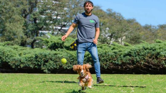 distinguen-a-escuela-de-educacion-canina-por-su-labor-por-el-bienestar-de-las-mascotas-de-compania