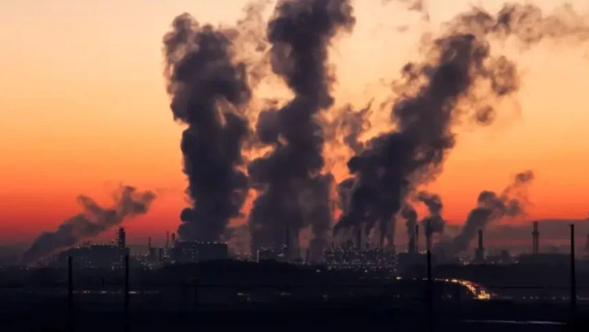 cientificos-detectaron-una-relacion-entre-la-contaminacion-del-aire-y-el-cancer-de-pulmon