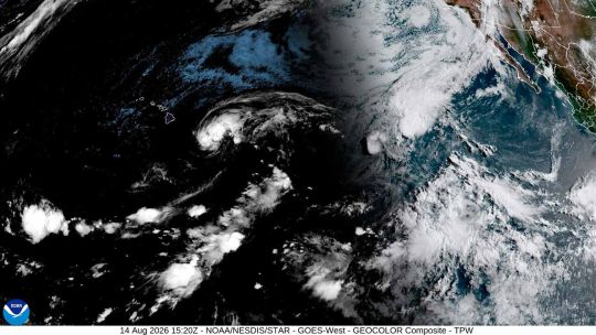 hawai-en-alerta-tras-el-paso-del-ciclon-lala:-destrozos,-miles-de-cortes-de-luz-y-un-fallecido