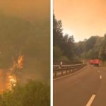 incendios-forestales-en-europa:-belgica-combate-un-fuego-record-y-hay-muertos-en-grecia