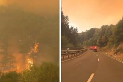 incendios-forestales-en-europa:-belgica-combate-un-fuego-record-y-hay-muertos-en-grecia