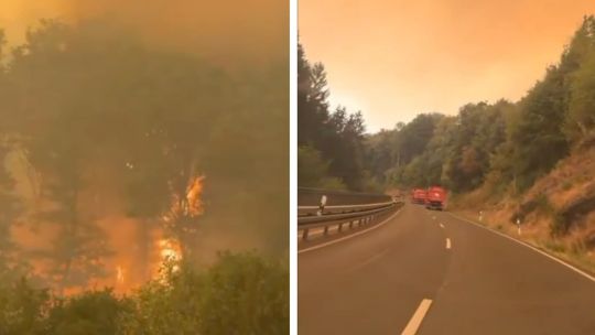 incendios-forestales-en-europa:-belgica-combate-un-fuego-record-y-hay-muertos-en-grecia