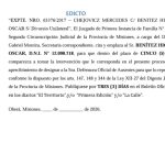 el-juzgado-de-primera-instancia-de-familia-n°-1-cita-y-emplaza-al-sr.-benitez-higinio-oscar