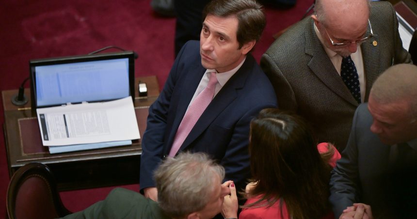 el-jefe-del-bloque-del-senado-del-pro-defendio-la-idea-de-que-el-partido-tenga-un-candidato-propio-en-las-elecciones-2027
