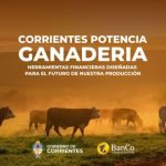 el-banco-de-corrientes-lanzo-creditos-para-el-campo:-hasta-48-meses-de-plazo-y-subsidio-de-tasa