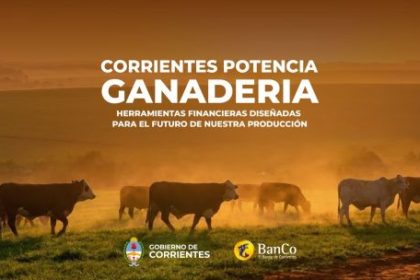 el-banco-de-corrientes-lanzo-creditos-para-el-campo:-hasta-48-meses-de-plazo-y-subsidio-de-tasa