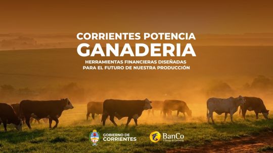 el-banco-de-corrientes-lanzo-creditos-para-el-campo:-hasta-48-meses-de-plazo-y-subsidio-de-tasa