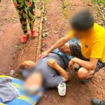 garupa:-un-hombre-de-79-anos-intentaba-sacar-paltas,-cayo-del-arbol-y-termino-hospitalizado