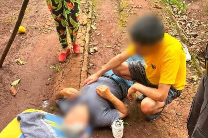 garupa:-un-hombre-de-79-anos-intentaba-sacar-paltas,-cayo-del-arbol-y-termino-hospitalizado