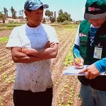 censo-agropecuario:-ine-inicia-reclutamiento-en-santa-cruz-y-beni