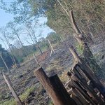 puerto-iguazu:-bomberos-sofocaron-un-incendio-de-pastizales-que-amenazaba-a-varias-viviendas-en-las-2000-hectareas