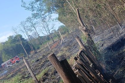 puerto-iguazu:-bomberos-sofocaron-un-incendio-de-pastizales-que-amenazaba-a-varias-viviendas-en-las-2000-hectareas