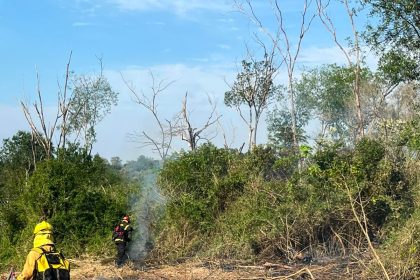 bomberos-sofocaron-un-incendio-de-malezas-en-santo-pipo:-no-hubo-heridos