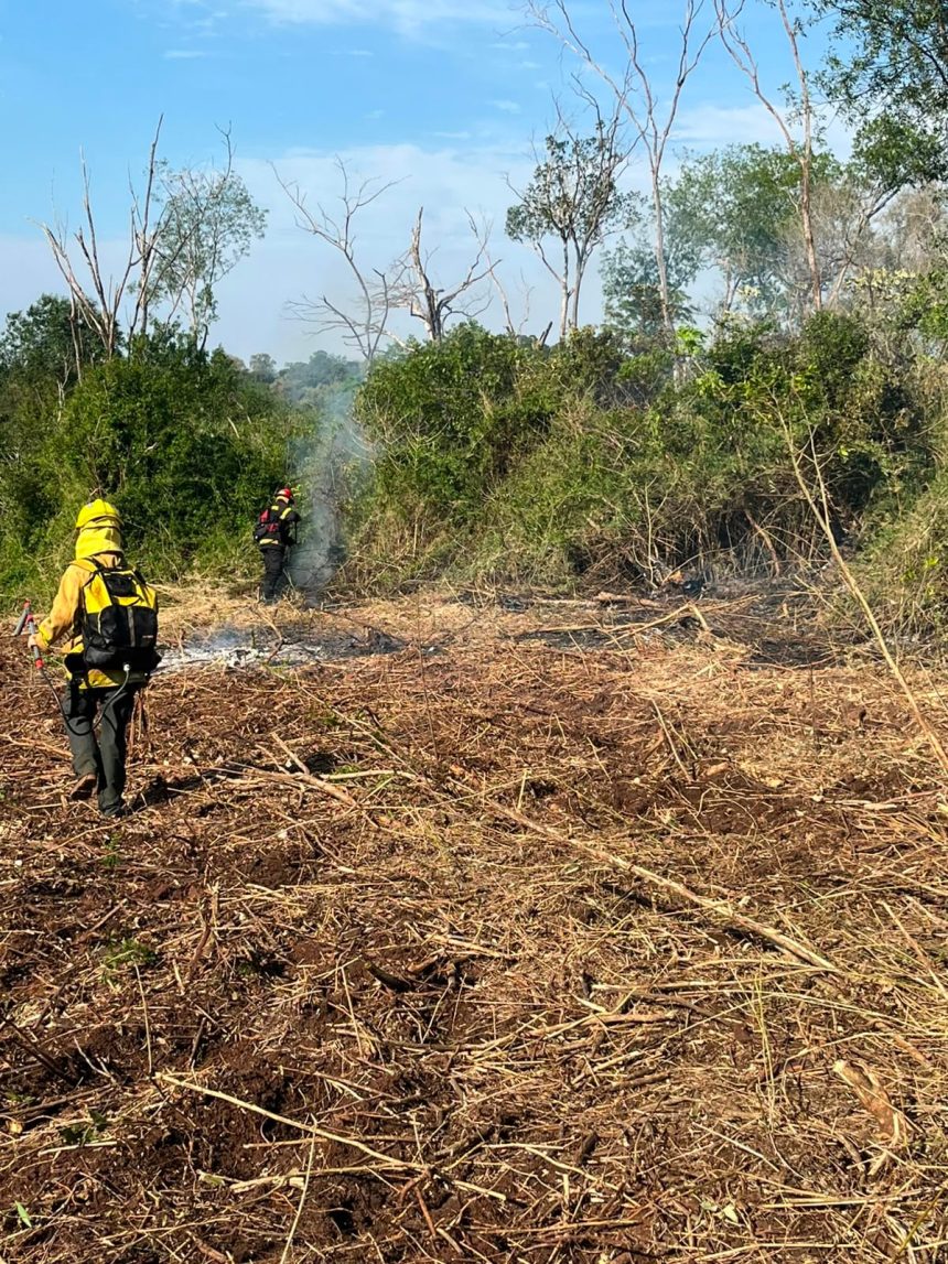 bomberos-sofocaron-un-incendio-de-malezas-en-santo-pipo:-no-hubo-heridos