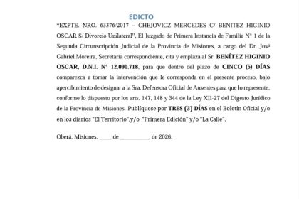 el-juzgado-de-primera-instancia-de-familia-n°-1-cita-y-emplaza-al-sr.-benitez-higinio-oscar