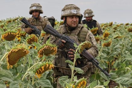 el-precio-de-un-cultivo-que-vive-un-boom-en-argentina-vuelve-a-niveles-que-no-se-veian-desde-los-comienzos-de-la-guerra-entre-rusia-y-ucrania