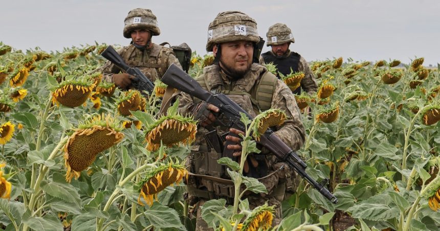 el-precio-de-un-cultivo-que-vive-un-boom-en-argentina-vuelve-a-niveles-que-no-se-veian-desde-los-comienzos-de-la-guerra-entre-rusia-y-ucrania