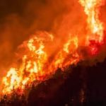 ola-de-calor-en-reino-unido:-la-prohibicion-de-barbacoas-provoco-una-situacion-insolita