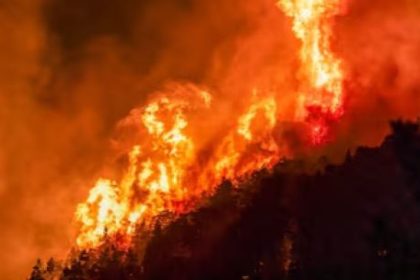 ola-de-calor-en-reino-unido:-la-prohibicion-de-barbacoas-provoco-una-situacion-insolita