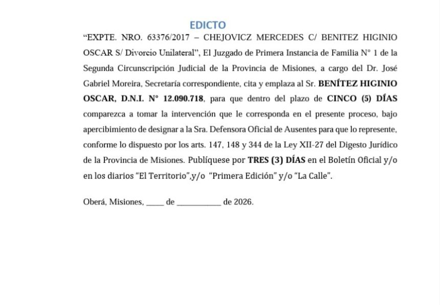 el-juzgado-de-primera-instancia-de-familia-n°-1-cita-y-emplaza-al-sr.-benitez-higinio-oscar