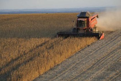 el-campo-proyecta-una-campana-record-de-maiz-y-preve-un-fuerte-ingreso-de-dolares