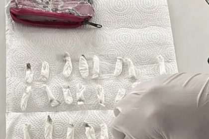 un-nene-llevo-71-envoltorios-de-cocaina-al-jardin