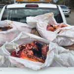 operativo-en-mendiolaza:-secuestraron-370-kilos-de-carne-clandestina