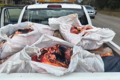 operativo-en-mendiolaza:-secuestraron-370-kilos-de-carne-clandestina