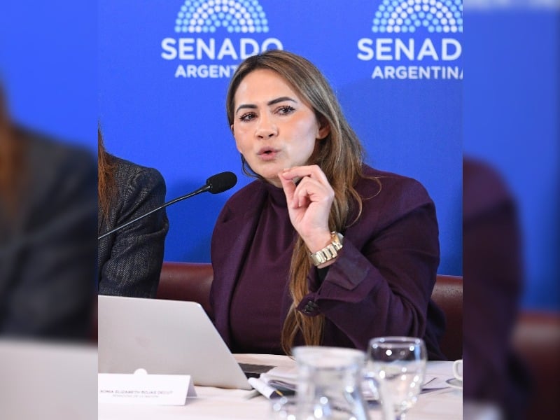 sonia-rojas-decut-presento-en-el-senado-su-proyecto-de-ley-marco-para-el-desarrollo-de-los-mercados-de-carbono