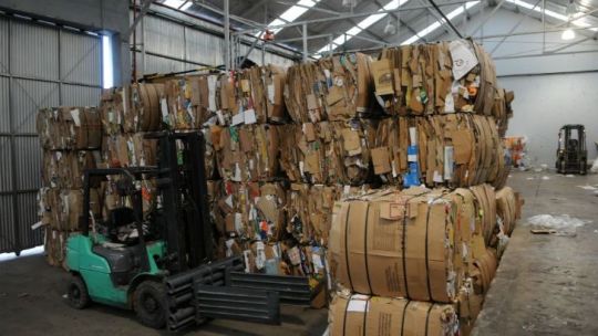 cartoneros-warn-buenos-aires-city-recycling-overhaul-could-push-them-out
