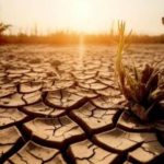 rdc:-los-fenomenos-climaticos-extremos-que-preocupan-alrededor-del-mundo