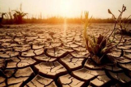 rdc:-los-fenomenos-climaticos-extremos-que-preocupan-alrededor-del-mundo