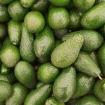 africa-produce-gran-parte-de-sus-frutos,-pero-gana-menos-del-10%-de-su-valor-dentro-del-mercado-global