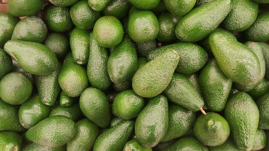 africa-produce-gran-parte-de-sus-frutos,-pero-gana-menos-del-10%-de-su-valor-dentro-del-mercado-global