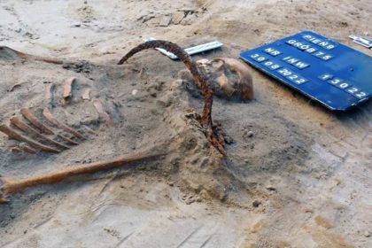 el-misterio-de-la-joven-enterrada-como-“vampiro”-en-polonia:-una-hoz-en-el-cuello-y-un-candado-para-impedir-que-regresara-de-la-muerte
