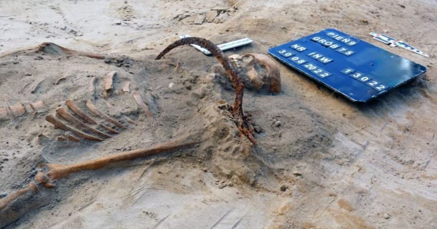el-misterio-de-la-joven-enterrada-como-“vampiro”-en-polonia:-una-hoz-en-el-cuello-y-un-candado-para-impedir-que-regresara-de-la-muerte