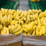 el-gobierno-desregulo-una-norma-y-pone-en-alerta-a-los-productores-de-banana-de-salta-y-jujuy