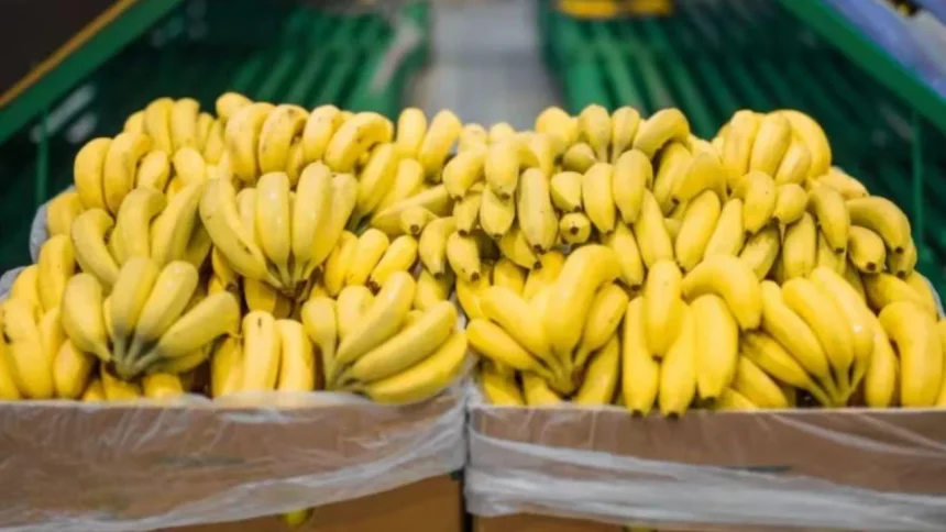 el-gobierno-desregulo-una-norma-y-pone-en-alerta-a-los-productores-de-banana-de-salta-y-jujuy