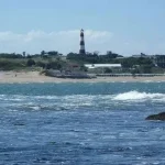 la-bajante-dejo-al-descubierto-un-ecosistema-unico-frente-a-mar-del-plata