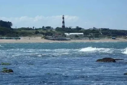 la-bajante-dejo-al-descubierto-un-ecosistema-unico-frente-a-mar-del-plata
