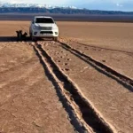 una-camioneta-ingreso-a-una-zona-protegida-en-san-juan-y-dejo-un-dano-que-puede-durar-un-siglo