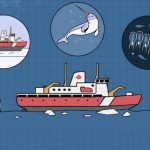 quatre-semaines-a-bord-dun-brise-glace-en-video:-comment-detranges-organismes-marins-participent-a-la-regulation-du-climat-dans-locean-arctique