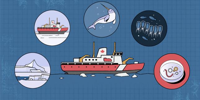 quatre-semaines-a-bord-dun-brise-glace-en-video:-comment-detranges-organismes-marins-participent-a-la-regulation-du-climat-dans-locean-arctique