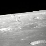 la-nasa-descubrio-que-hongos-y-bacterias-terrestres-podrian-sobrevivir-en-la-luna
