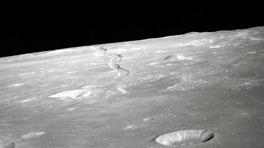 la-nasa-descubrio-que-hongos-y-bacterias-terrestres-podrian-sobrevivir-en-la-luna