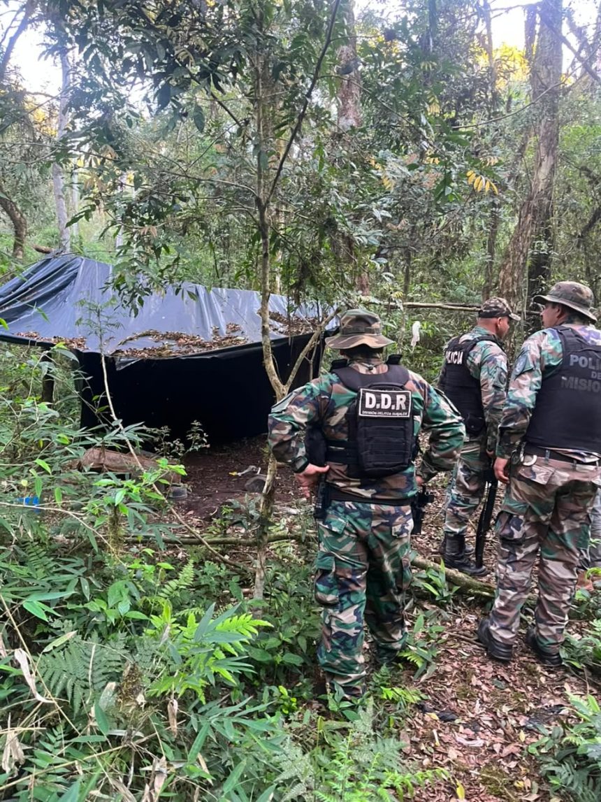 montecarlo:-rastrearon-huellas-en-el-monte-y-desmantelaron-dos-campamentos-de-cazadores-furtivos