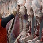 las-exportaciones-de-carne-vacuna-crecieron-42%-en-valor-en-los-primeros-siete-meses-del-ano